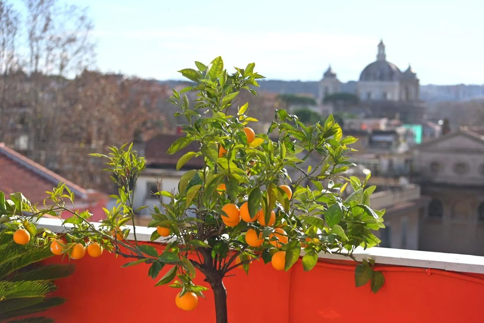 Farnesina Rooftop Terrace Rome Apartment
